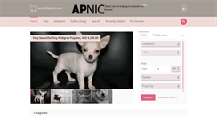 Desktop Screenshot of animalmarket24.com